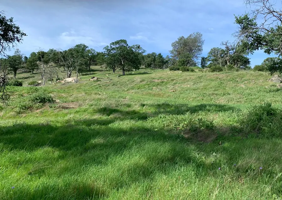 141 Gold Pan Court, Bangor, CA 95914 - #2