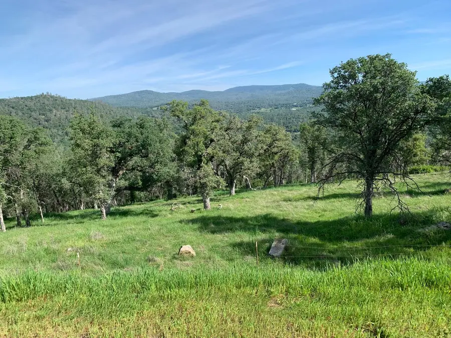 141 Gold Pan Court, Bangor, CA 95914 - #3