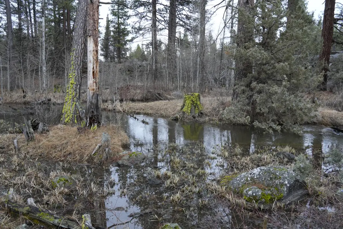 0 Old State Hwy, Macdoel, CA 96058 - #1