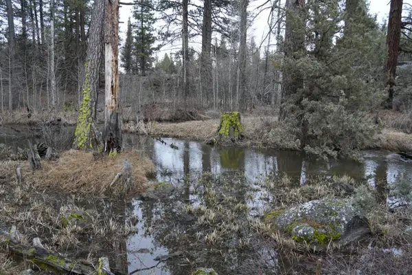 0 Old State Hwy, Macdoel, CA 96058