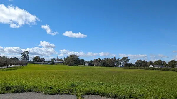 34777 Louise Lane, Woodland, CA 95695