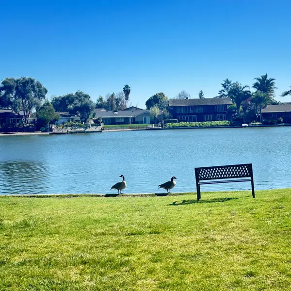 3768 W Benjamin Holt Drive #13, Stockton, CA 95219