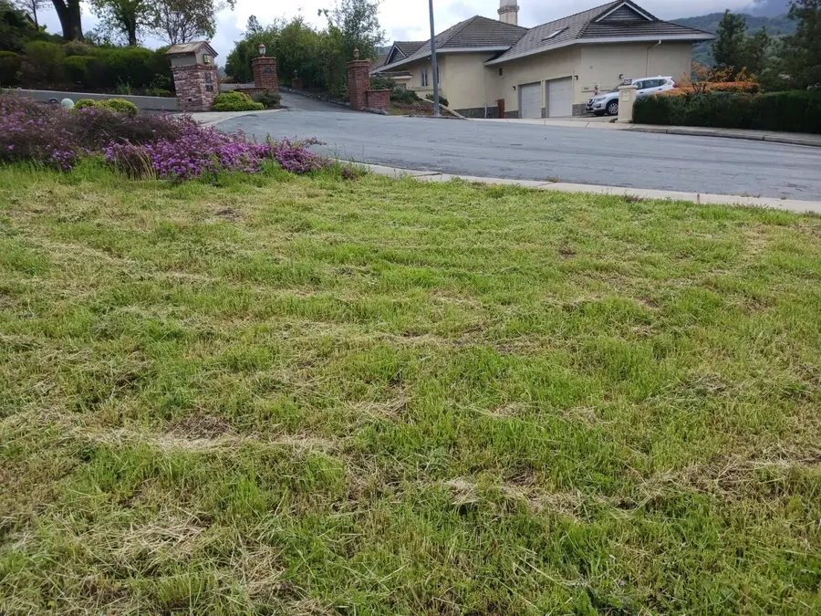 993 Woodview Place, San Jose, CA 95120 - #2