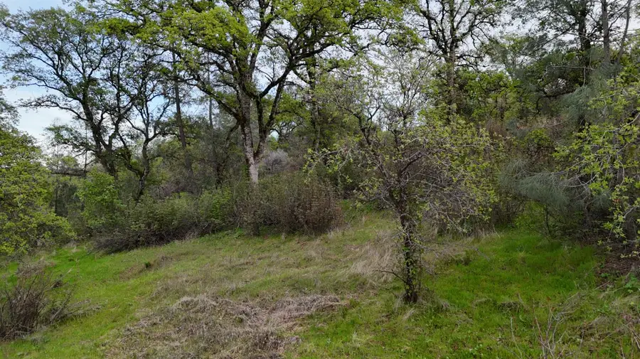 8601 Riverview Terrace, Smartsville, CA 95977 - #2