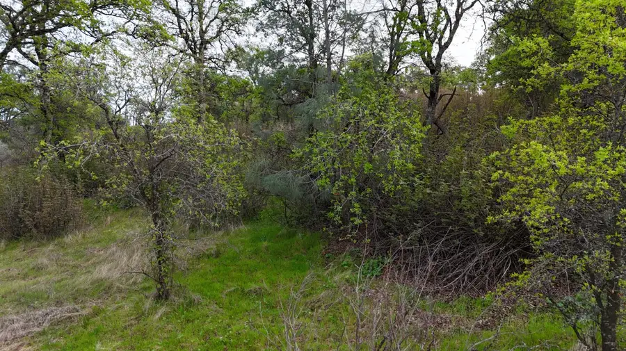 8601 Riverview Terrace, Smartsville, CA 95977 - #3