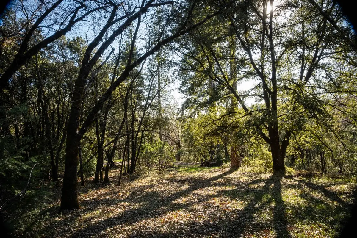 0 Buck Ridge Court, Colfax, CA 95713 - #1