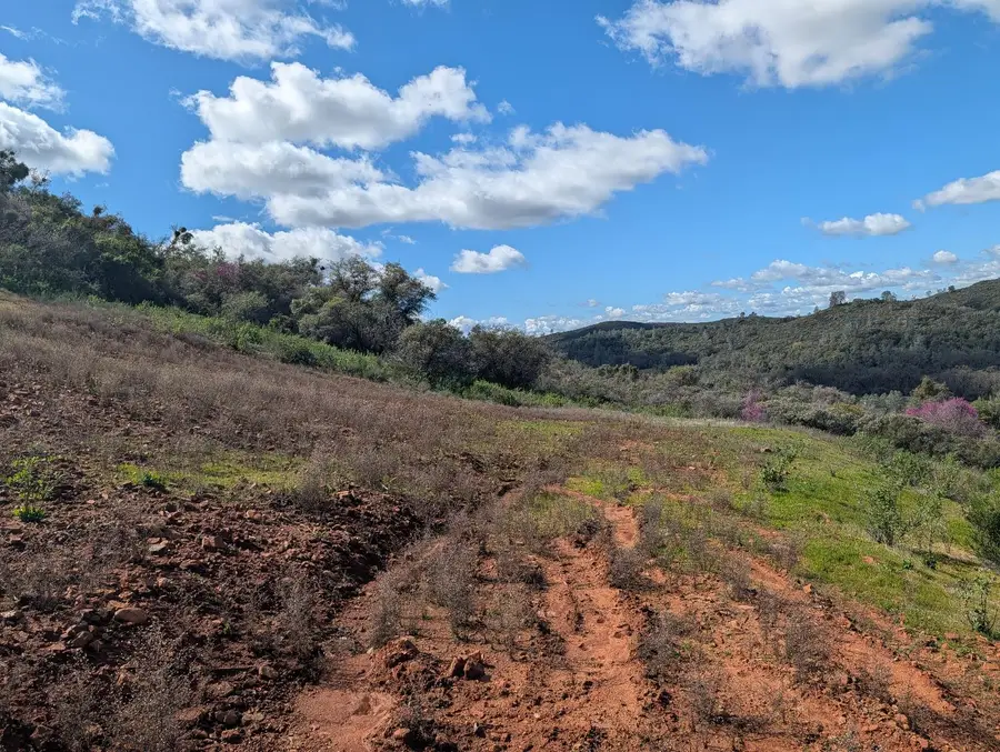 645 Kanaka Valley Road, Rescue, CA 95672 - #2