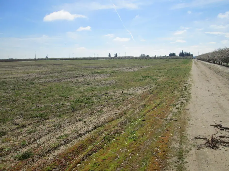 18650 E Eugenia Avenue, Ripon, CA 95366 - #3