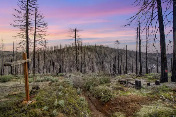 5308 Wooded Glen Road, Grizzly Flats, CA 95636