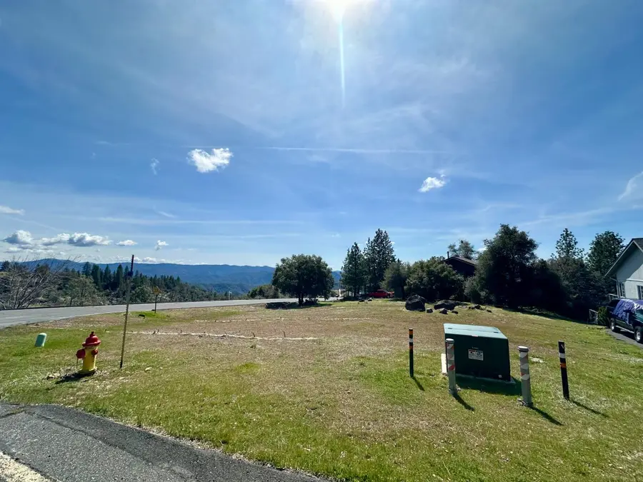 1146 Buckthorn Drive, Murphys, CA 95247 - #2