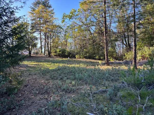 4110 Pine Mountain Road, Foresthill, CA 95631