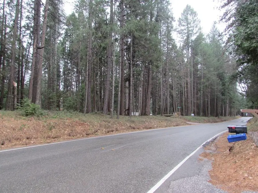 13685 Idaho Maryland Road, Nevada City, CA 95959 - #2