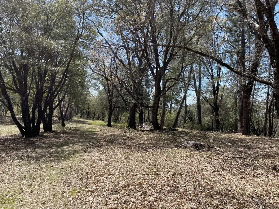 0 Parcel B Armstrong Road, Mountain Ranch, CA 95250 - #2