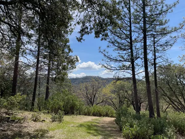 0 Armstrong Road, Sheep Ranch, CA 95246