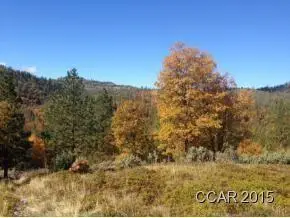 0 Armstrong Road, Sheep Ranch, CA 95246 - #3