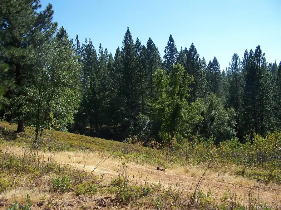 0 Parcel A Armstrong Road, Mountain Ranch, CA 95250 - #3