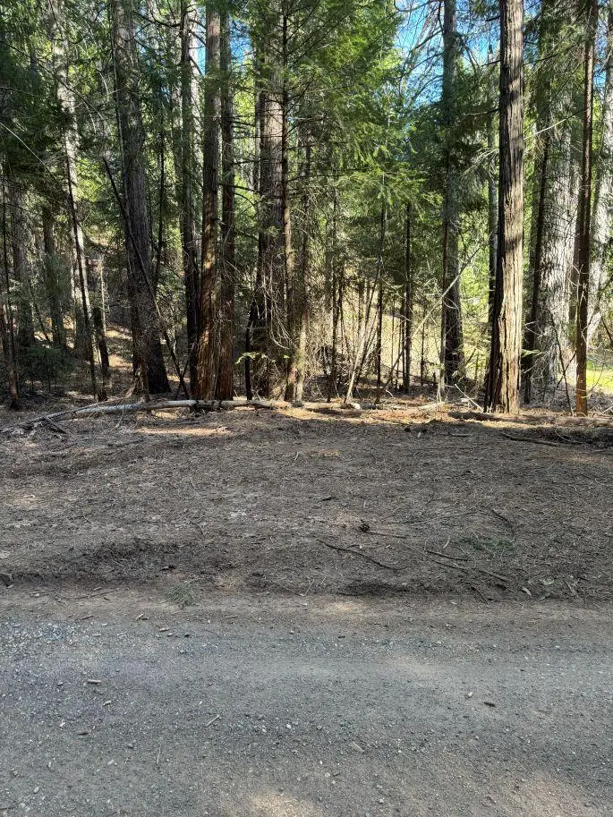 0 Caine Road, Alta, CA 95701 - #1