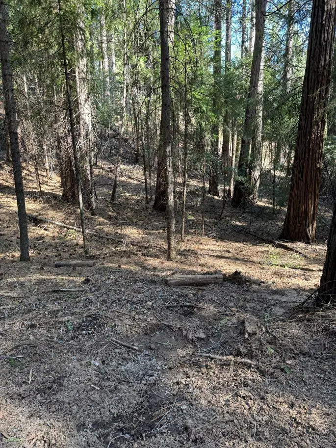 0 Caine Road, Alta, CA 95701 - #2