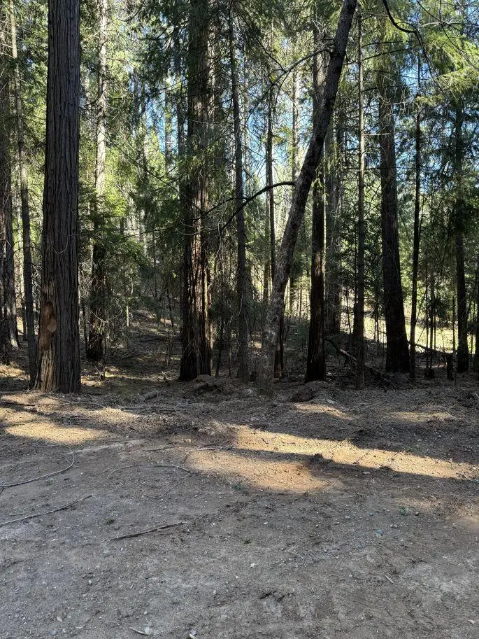 0 Caine Road, Alta, CA 95701 - #3