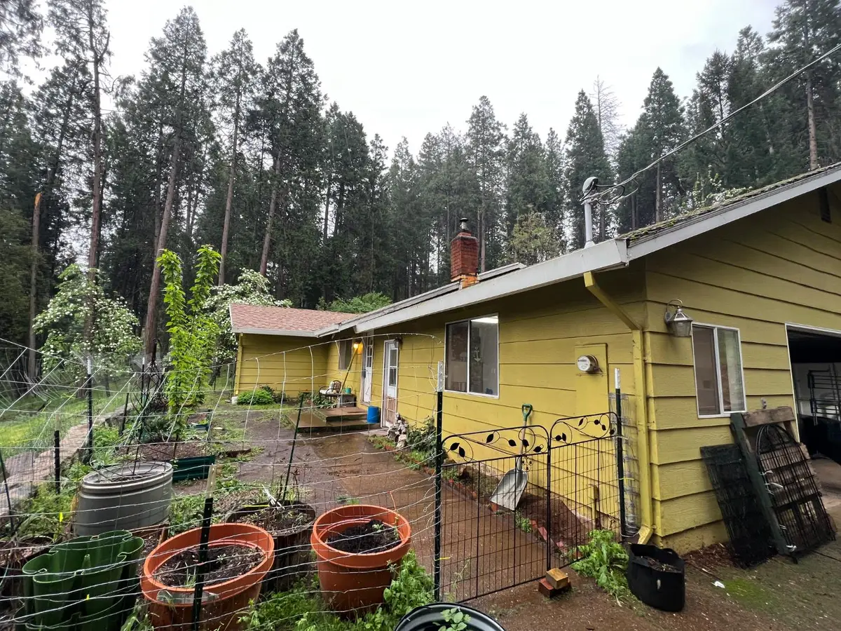 14882 Old Emigrant Road, Pioneer, CA 95666 - #1