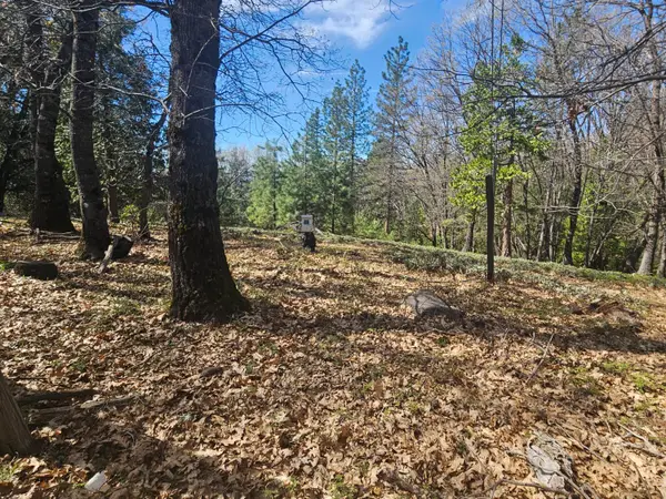 23470 Pack Trail, Sonora, CA 95370