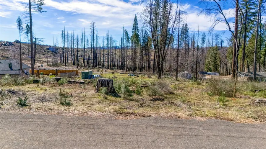 7591 Winding Way, Grizzly Flats, CA 95636 - #2