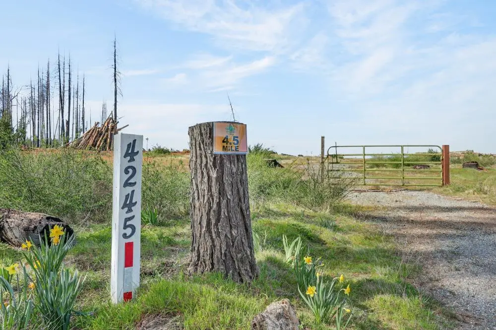 4245 Volcanoville Road, Georgetown, CA 95634 - #1
