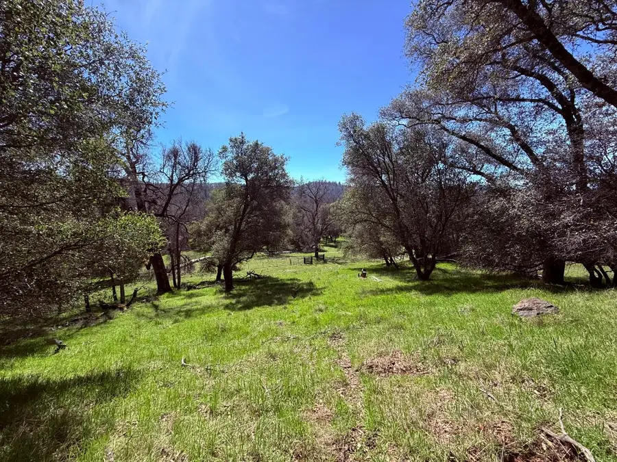 2901 Cedar Creek Road, Fiddletown, CA 95629 - #3