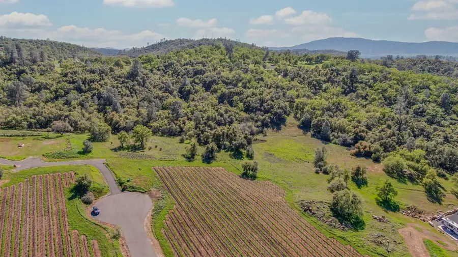 360 Pyshon Road, Angels Camp, CA 95222 - #2