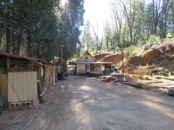 1360 Argonaut Lane, West Point, CA 95255