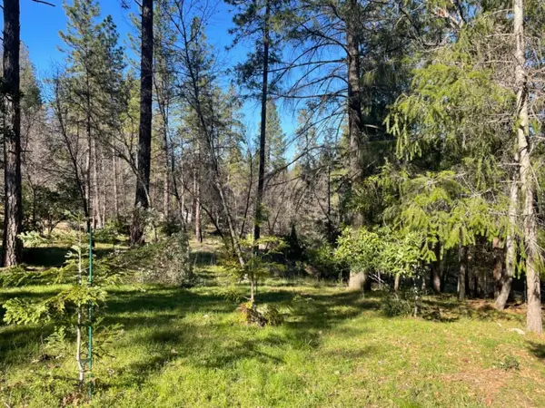 1575 Ridgemore Drive, Meadow Vista, CA 95722