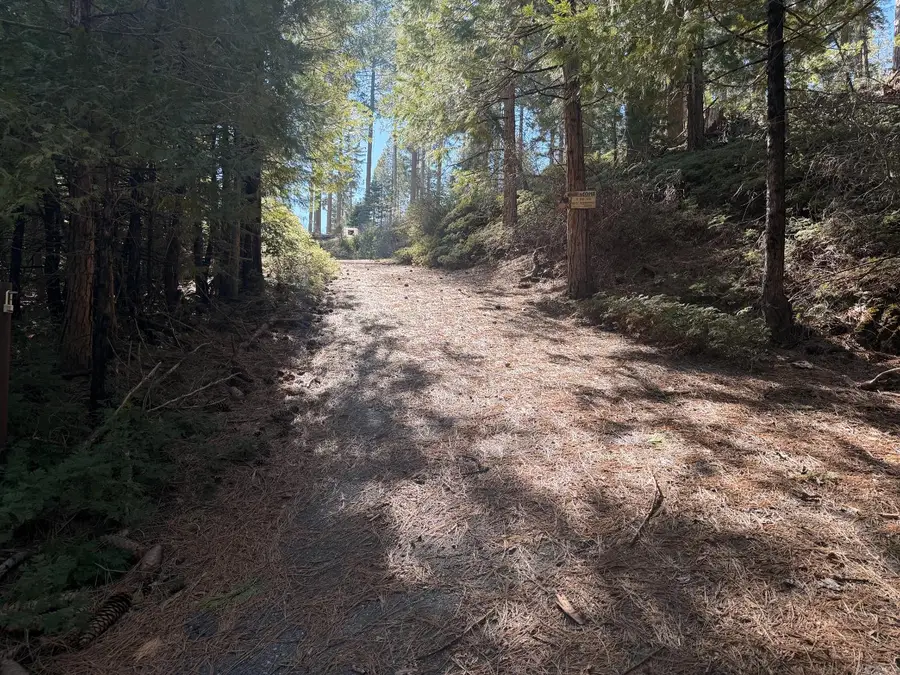 26150 Highway 108, Long Barn, CA 95335 - #2