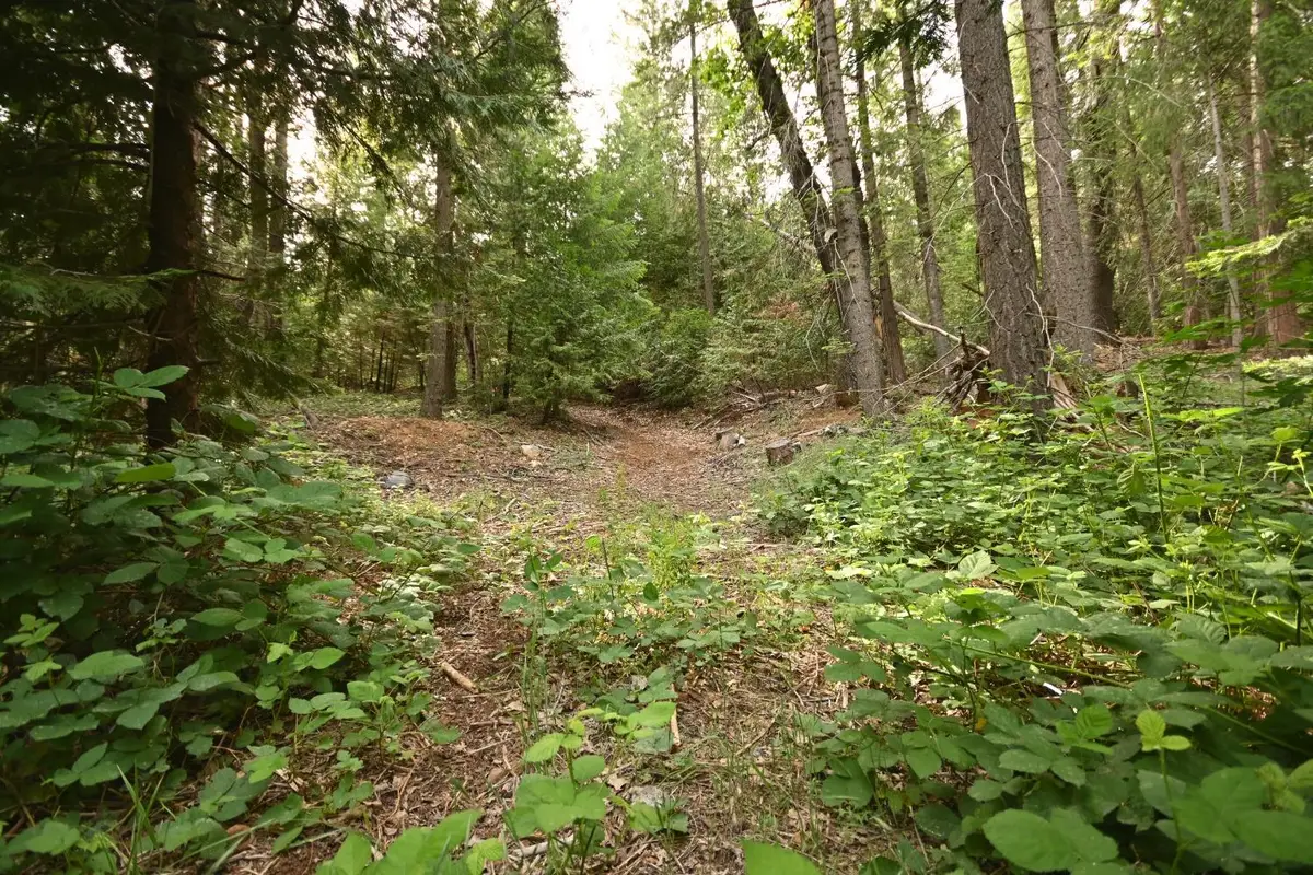 0 Slalom Lane, Pollock Pines, CA 95726 - #1