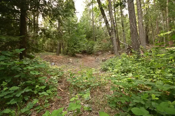 0 Slalom Lane, Pollock Pines, CA 95726