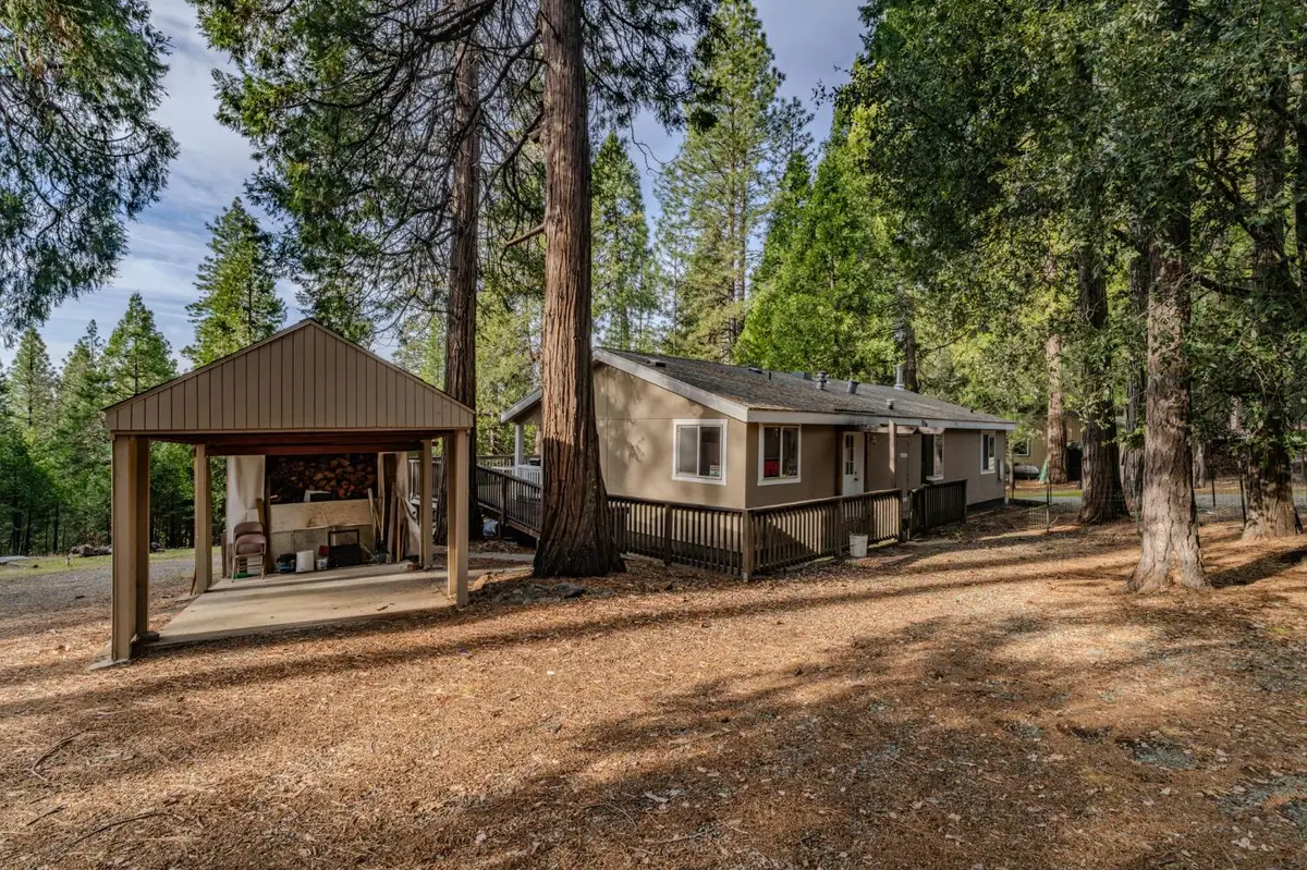 25630 Overland Drive, Volcano, CA 95689 - #1