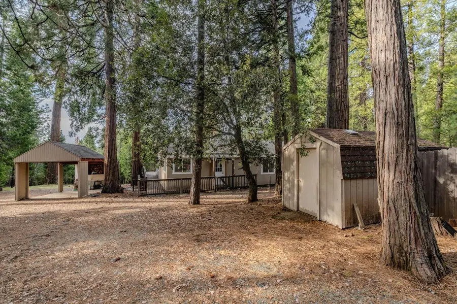 25630 Overland Drive, Volcano, CA 95689 - #2
