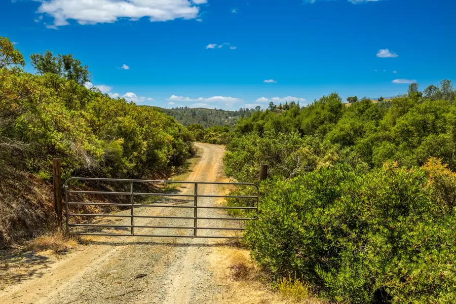 8489 White Hawk Road, Shingle Springs, CA 95682 - #3