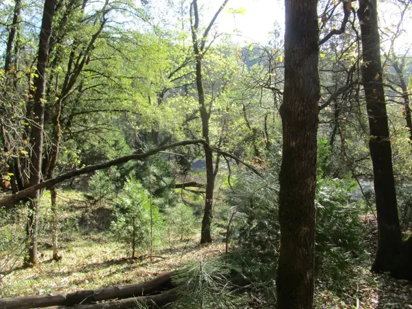 16172 Annie Drive, Grass Valley, CA 95949