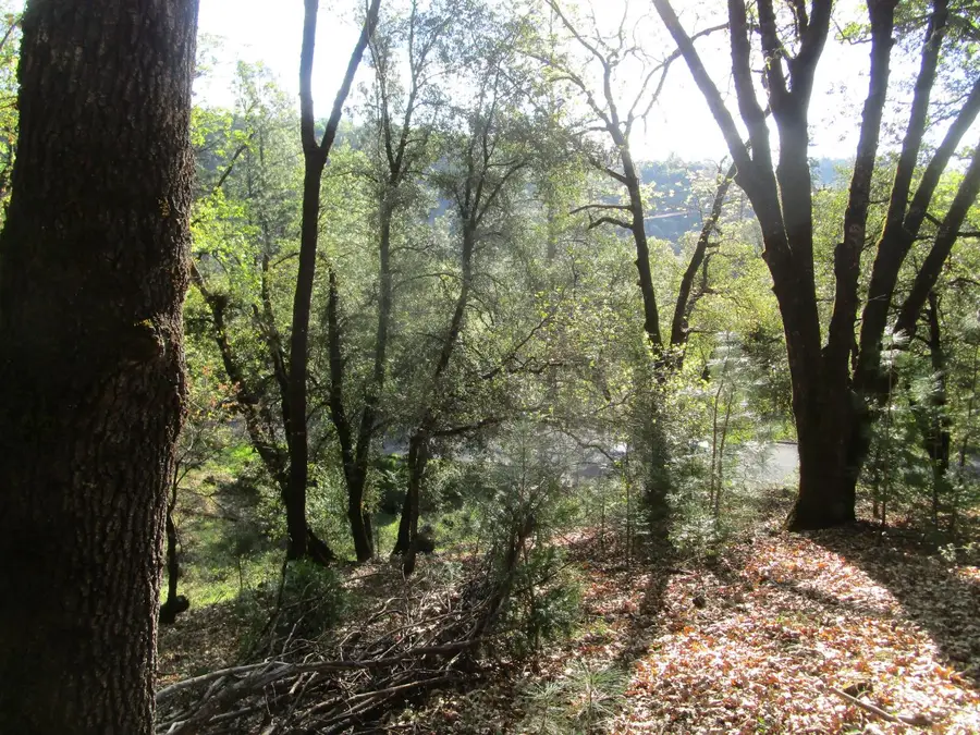 16172 Annie Drive, Grass Valley, CA 95949 - #2