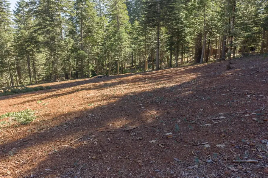 0 1781 Airacobra Avenue, Arnold, CA 95223 - #3