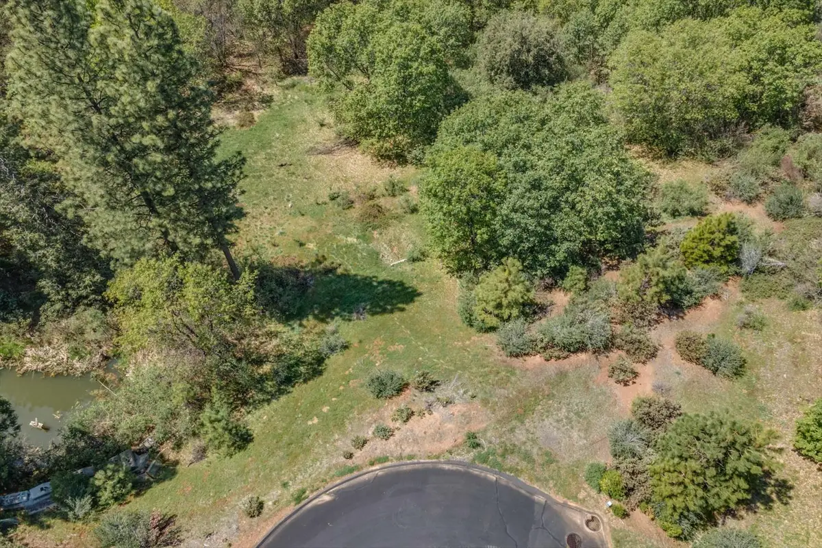 241 Red Apple Drive, Murphys, CA 95247 - #1