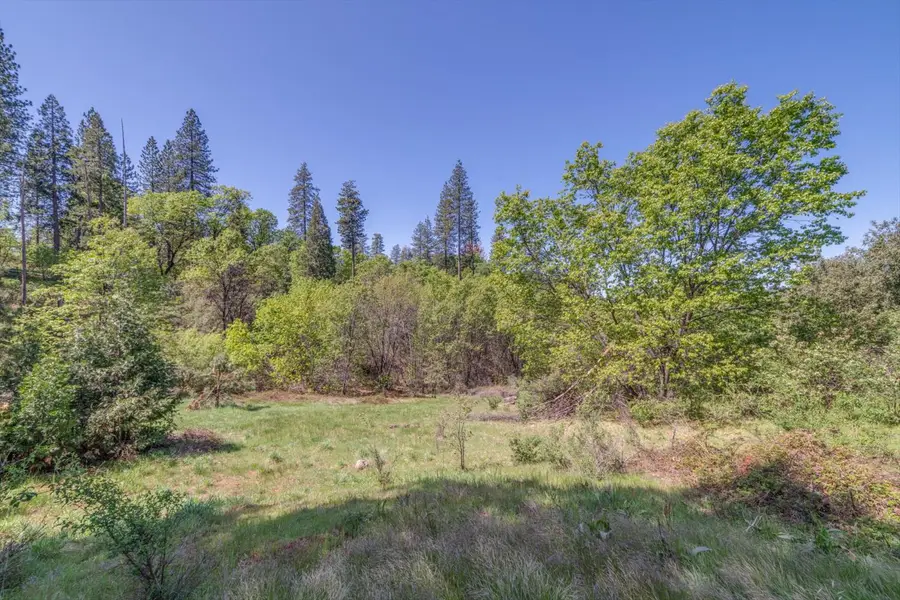 241 Red Apple Drive, Murphys, CA 95247 - #3