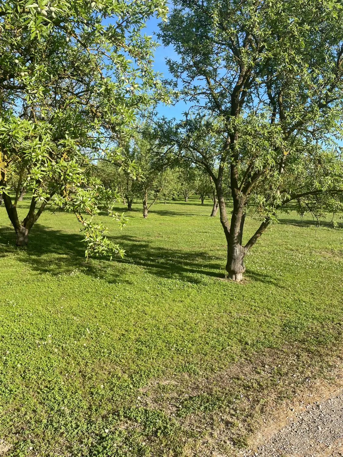 17576 E State Highway 120, Ripon, CA 95366 - #1