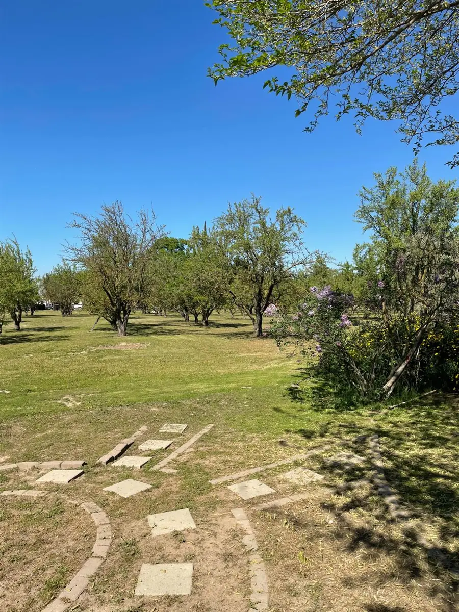 17576 E State Highway 120, Ripon, CA 95366 - #2