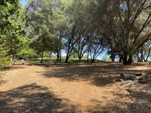 11665 Redwing Court, Penn Valley, CA 95946 - #3