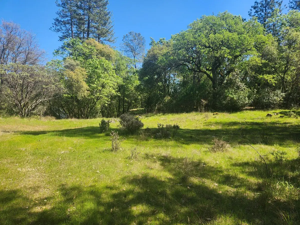 13903 Ingersoll Drive, Dobbins, CA 95935 - #1