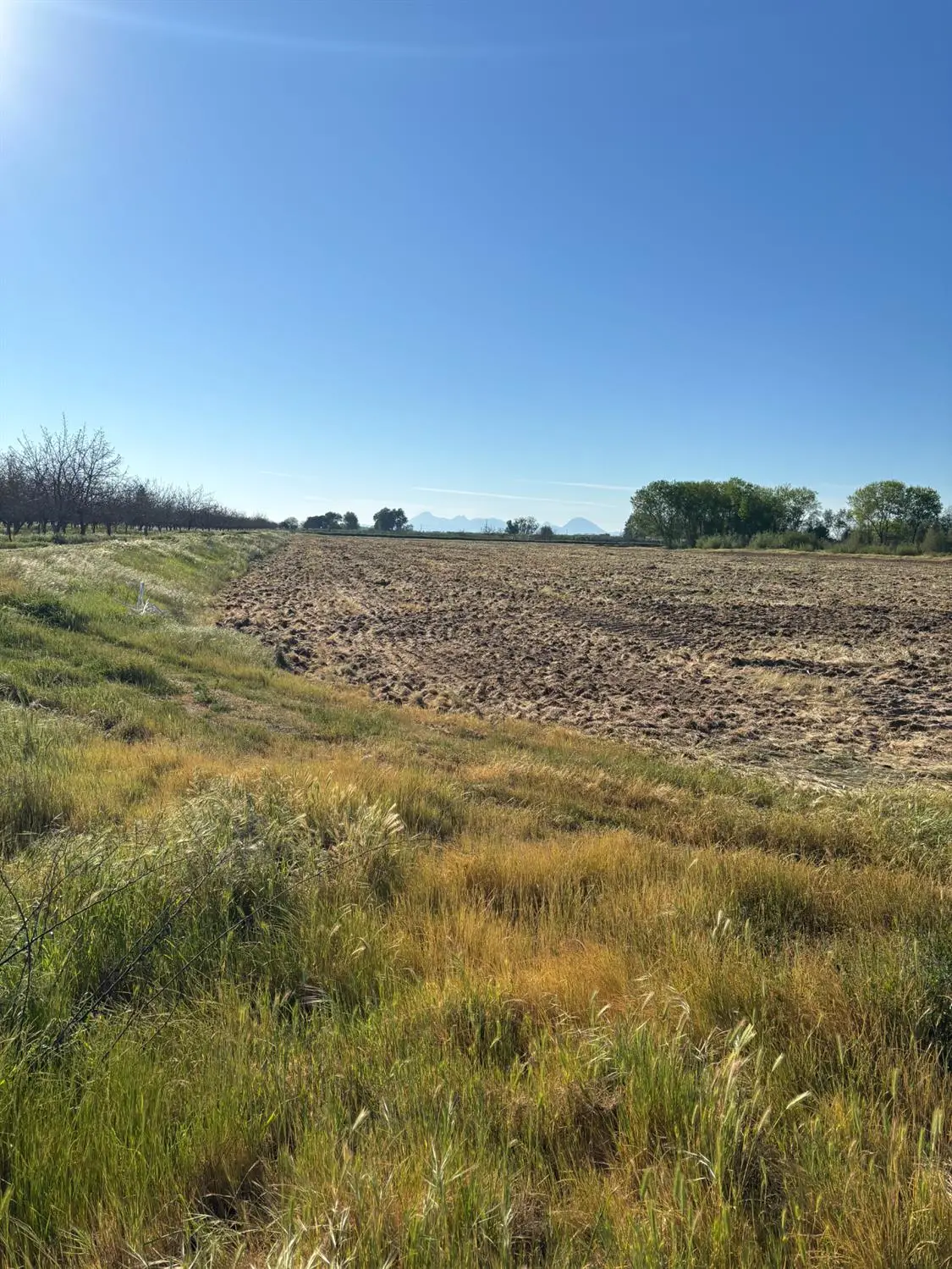 7716 Messick Road, Marysville, CA 95901 - #1