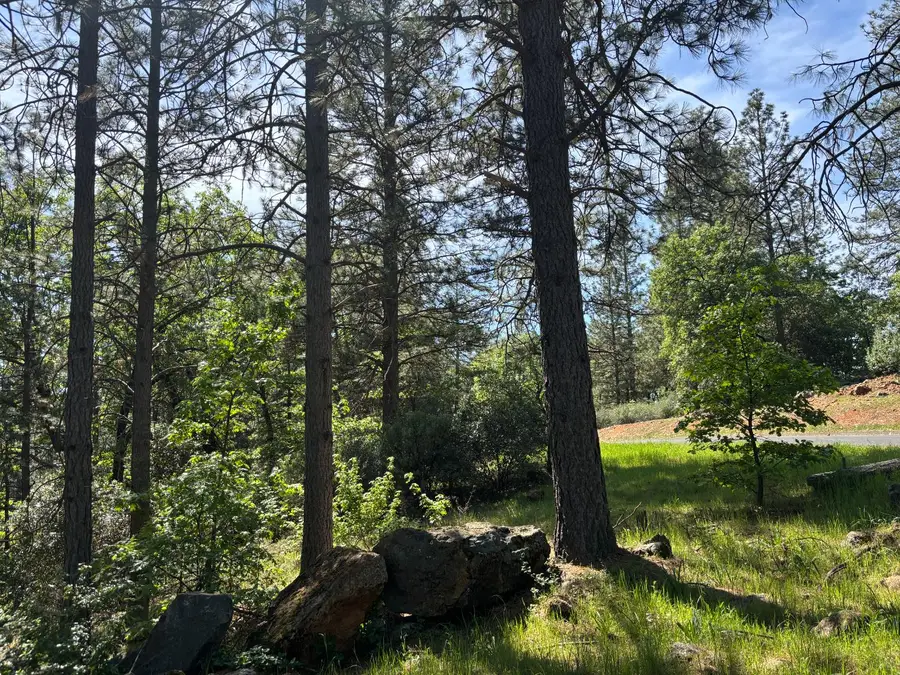 4135 Ampezo Place, Foresthill, CA 95631 - #3