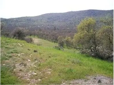 711 Hawkridge Road, Copperopolis, CA 95228 - #1