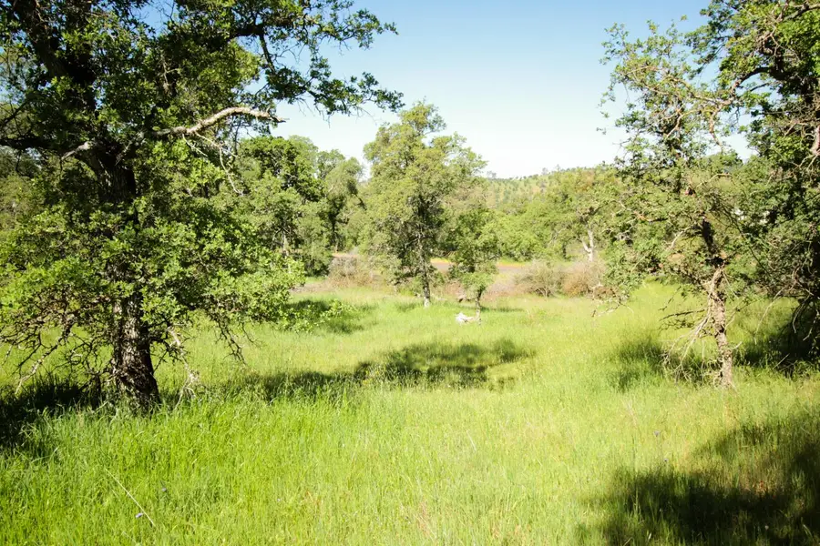 1058 Salinas Street, La Grange, CA 95329 - #2